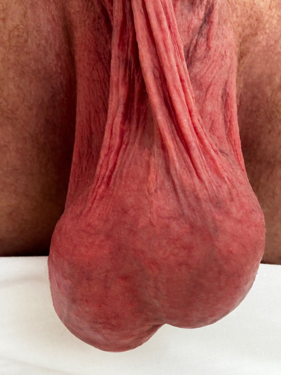 Legrand Wolf tweet media