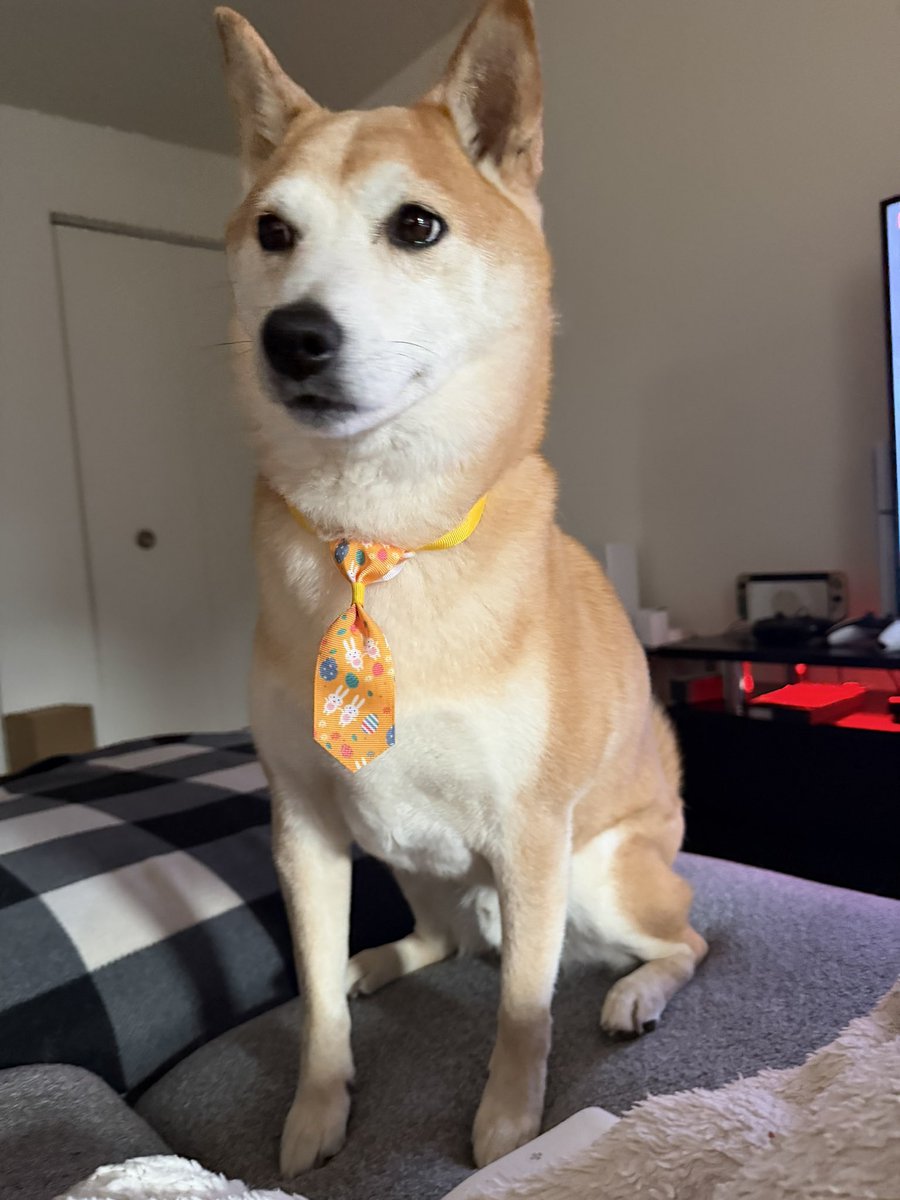 🐉Koraeda🐉 tweet media