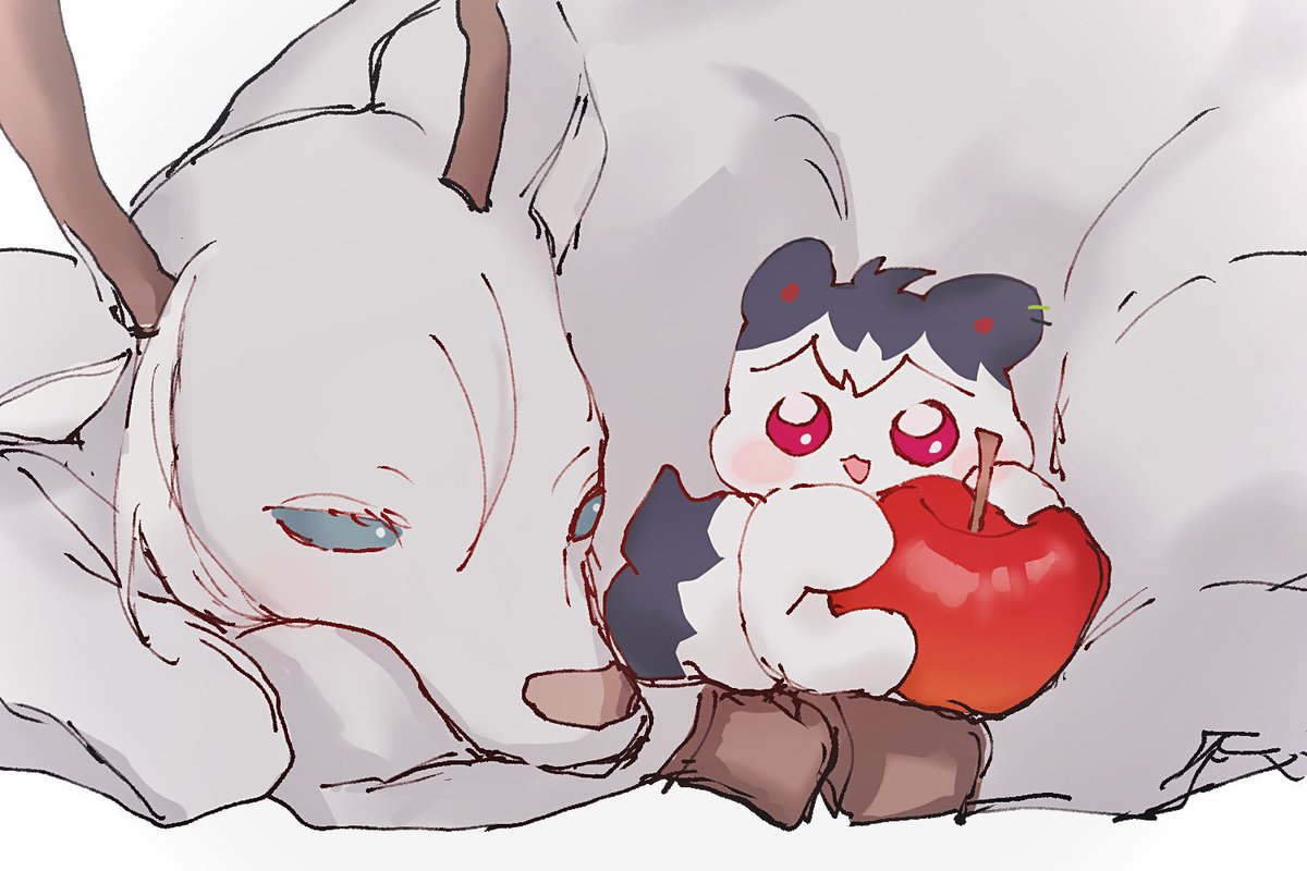 よも (@nekotya_m) on Twitter photo 