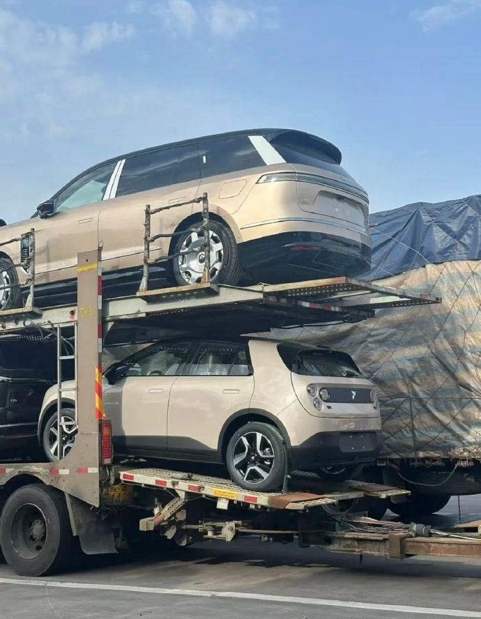 Tycho de Feijter tweet media