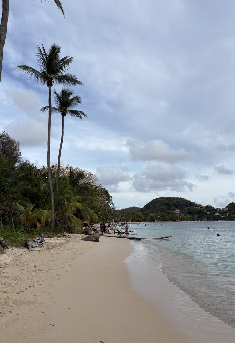 lucien 🪩 tweet media