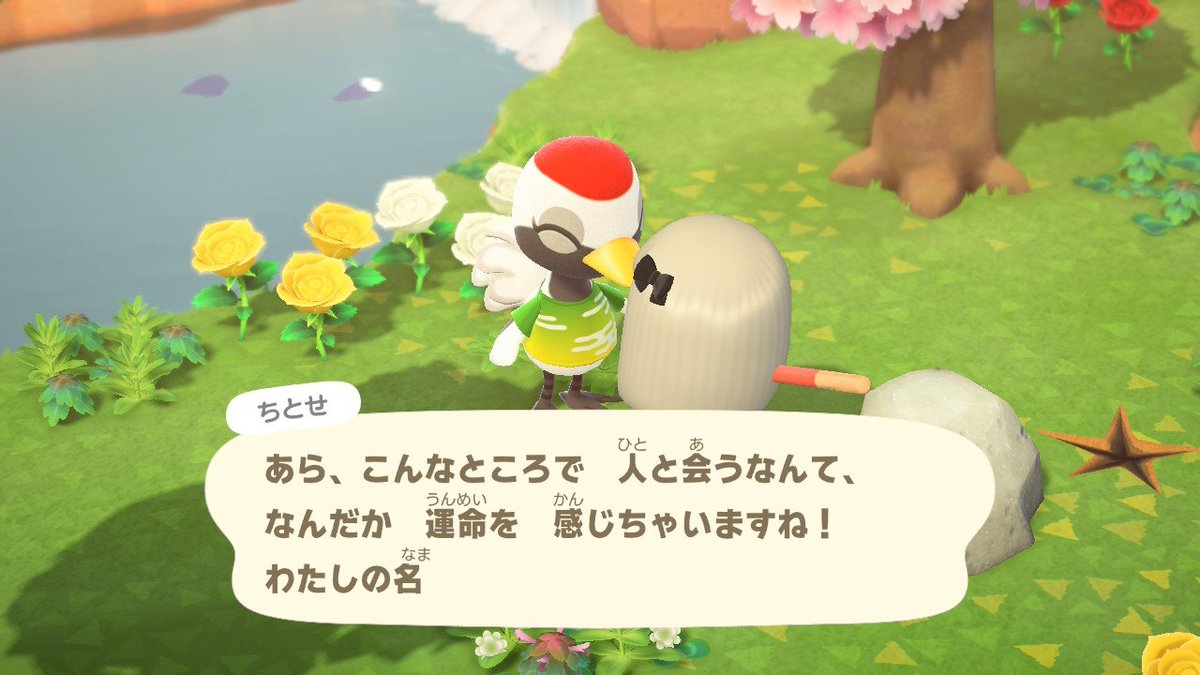 Dreamrabbit0601's tweet photo. 離島での奇跡の邂逅
リリィちゃんとか、チーフの兄貴とか、オオカミに愛されている
そして！！ちとせちゃん！すき！！！！！！！！！
人生初のamiiboはちとせちゃんのために溶かしたくらいにはすき……
運命……（勧誘してない）
レムくんとかカモミちゃんとか、人気な子にも会えました https://t.co/ljoEZdETN4