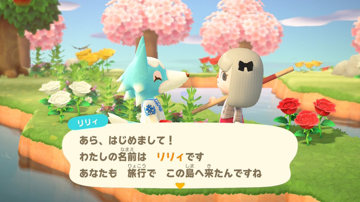 Dreamrabbit0601's tweet photo. 離島での奇跡の邂逅
リリィちゃんとか、チーフの兄貴とか、オオカミに愛されている
そして！！ちとせちゃん！すき！！！！！！！！！
人生初のamiiboはちとせちゃんのために溶かしたくらいにはすき……
運命……（勧誘してない）
レムくんとかカモミちゃんとか、人気な子にも会えました https://t.co/ljoEZdETN4