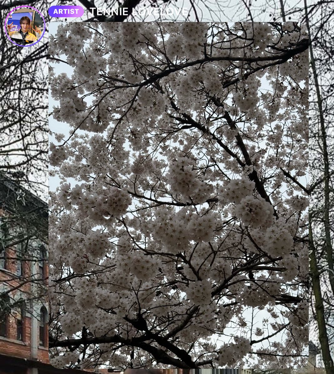 ㅌ mini 🍵 tweet media