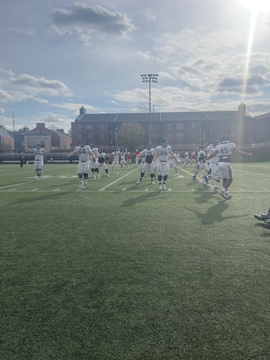 Zerin Wood tweet media