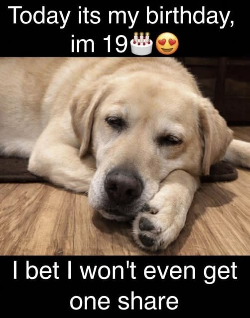 Beyond The Leash tweet media