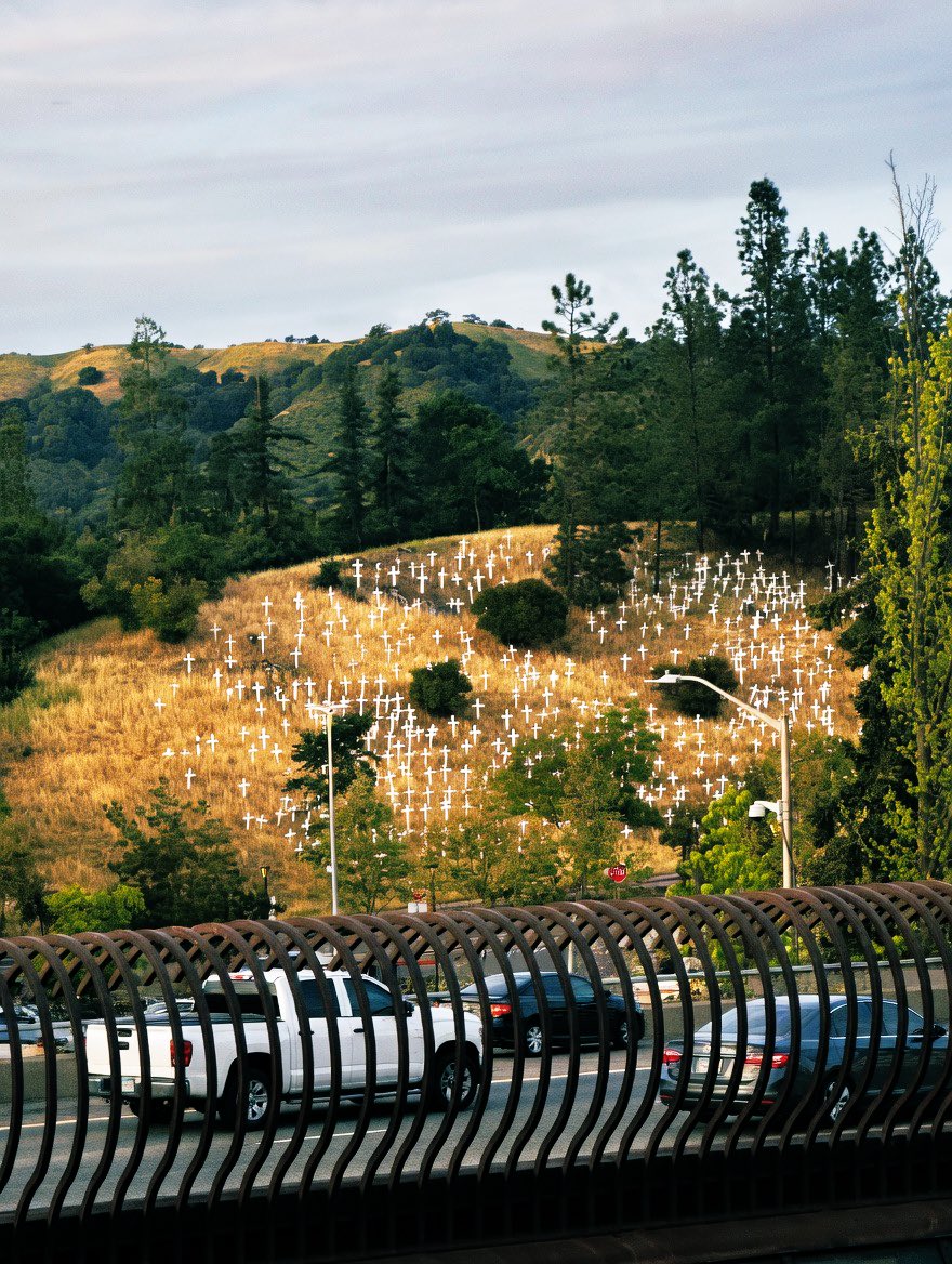 Tori Tishman tweet media