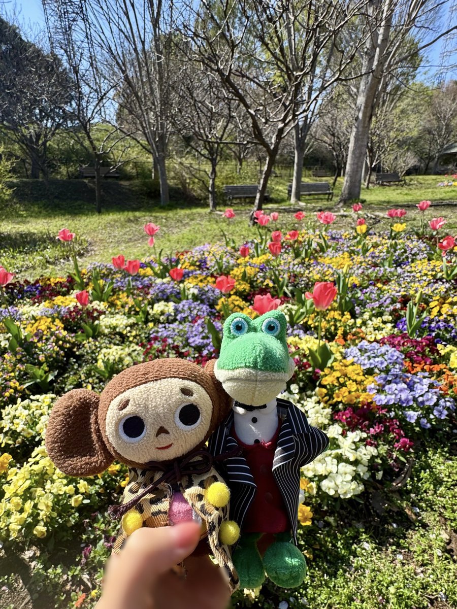 chiebu_travel's tweet photo. ズーラシアにお花見に行きました✨✨その③
🌸桜がとっても綺麗でした🌸
#チェブラーシカ
#cheburashka
#ゲーナ
#gena
#ぬいどり
#桜
#花見
#ズーラシア https://t.co/WAo2DWGCPM