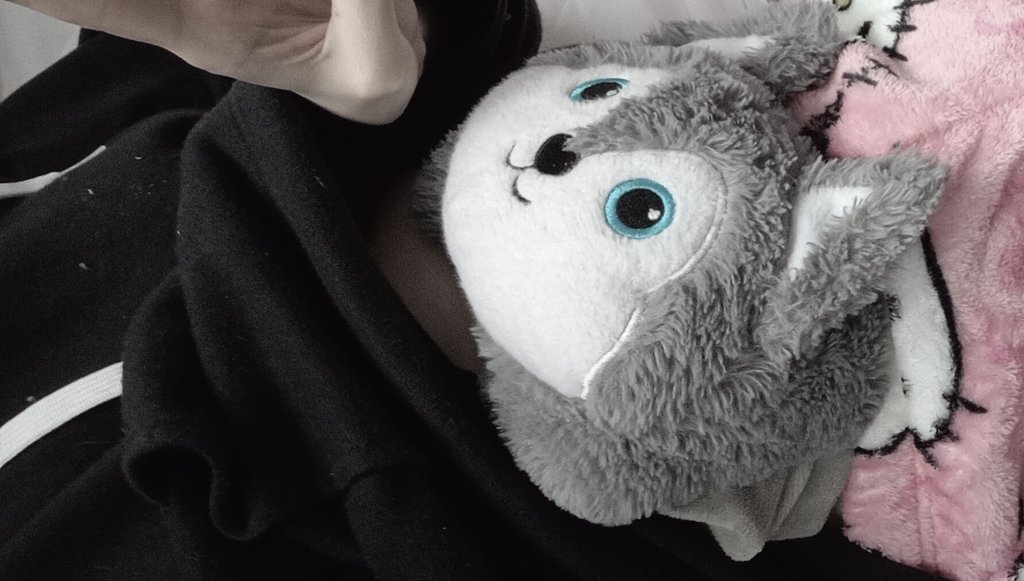 ୨୧𓏼ℒuci #shedtwt tweet media