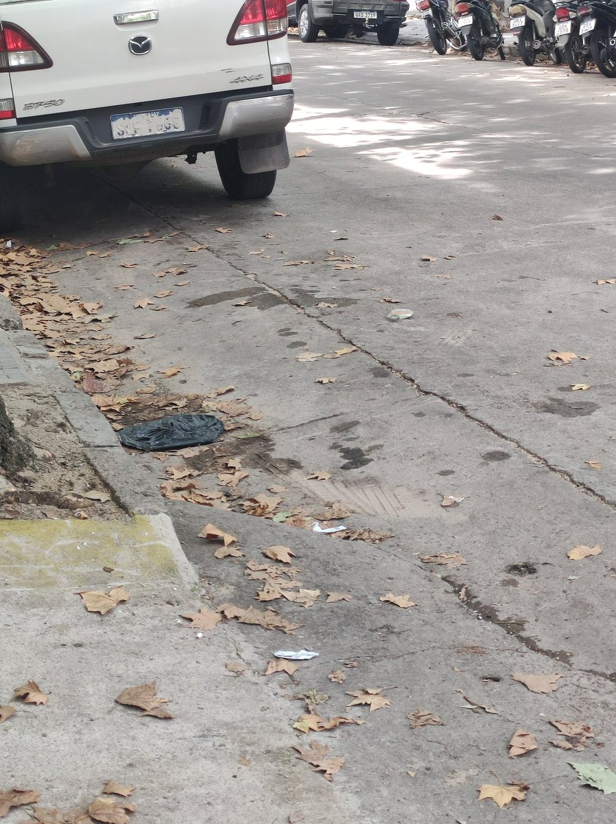 De buena fuente tweet media