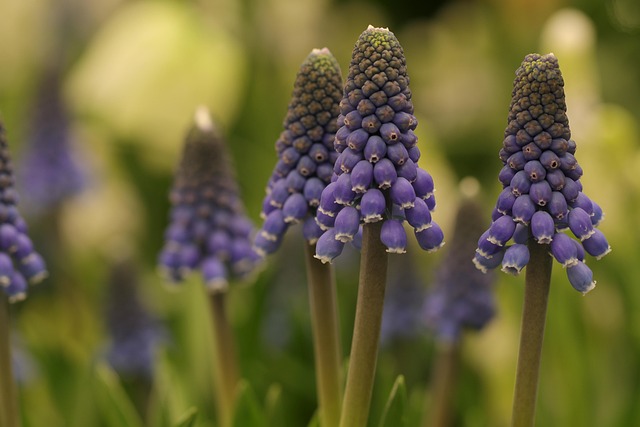 Camilla Sims tweet media