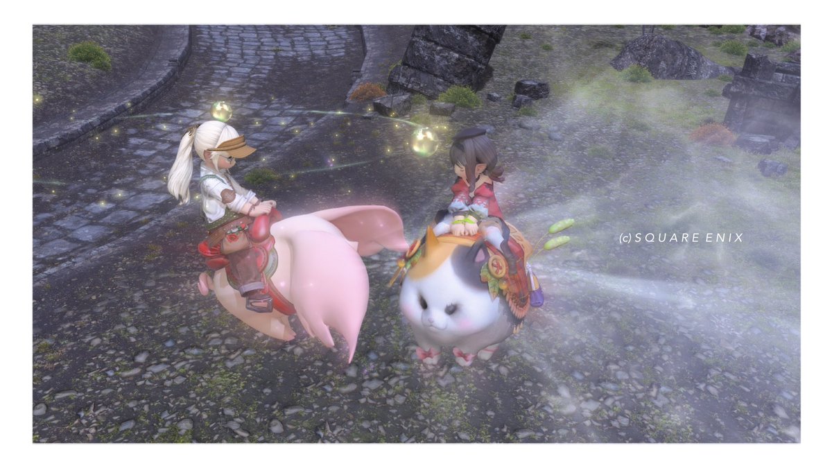 maru cha tweet media