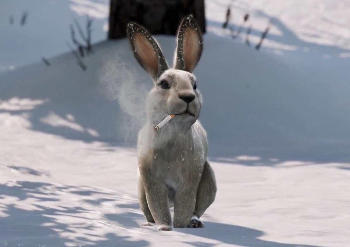 Opera GX tweet media