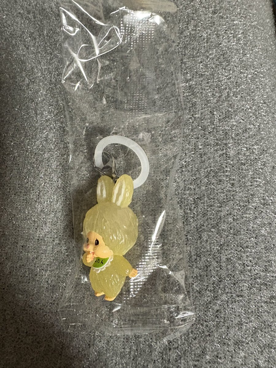 Bloom🐶 tweet media