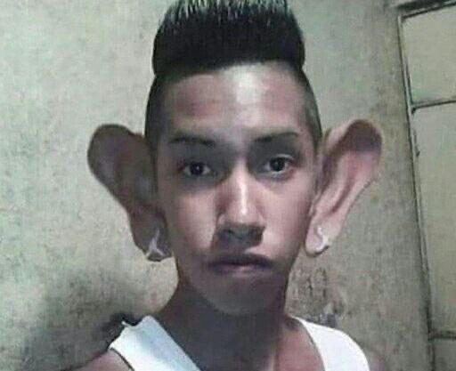 lucwillitaa tweet media