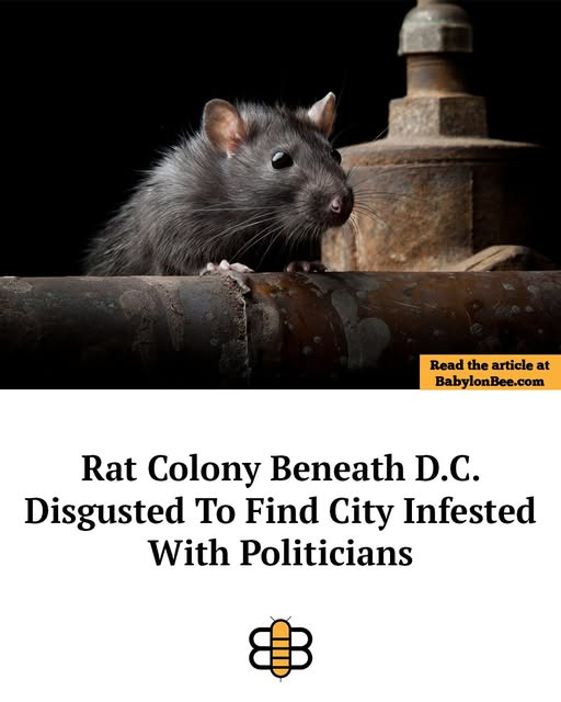 Michael Morrison tweet media