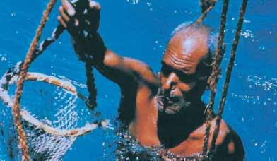 د ميثاء سيف الهاملي tweet media