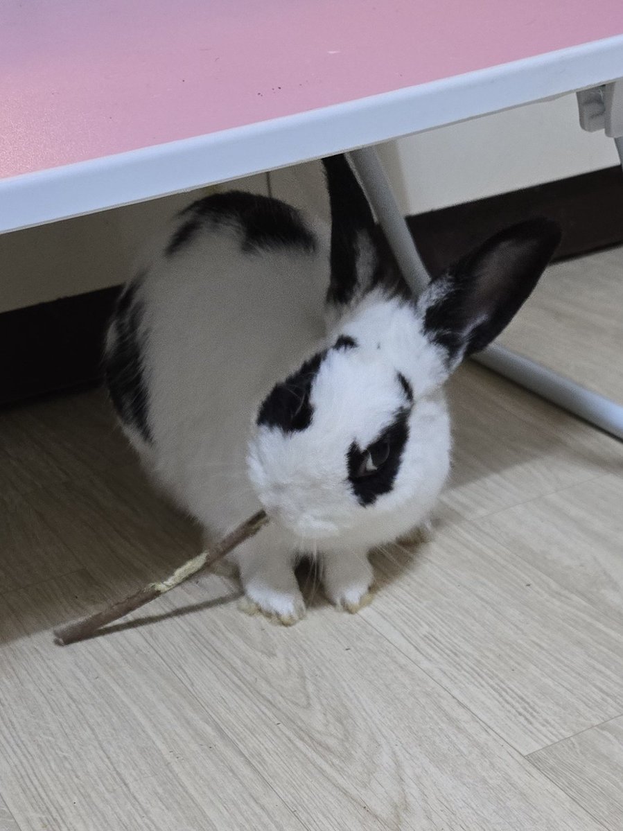 나의 툭툭이🐢 tweet media