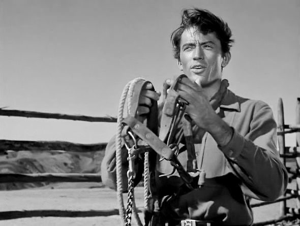 mariam 🇵🇸 tweet media