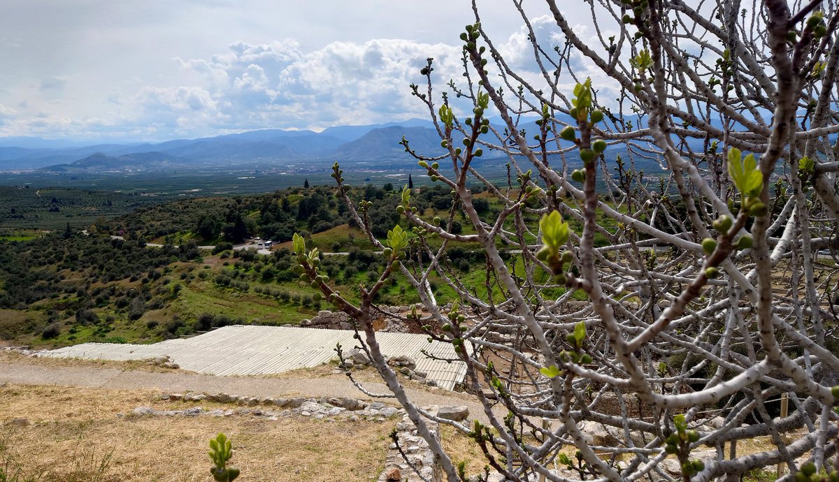 ふたば tweet media