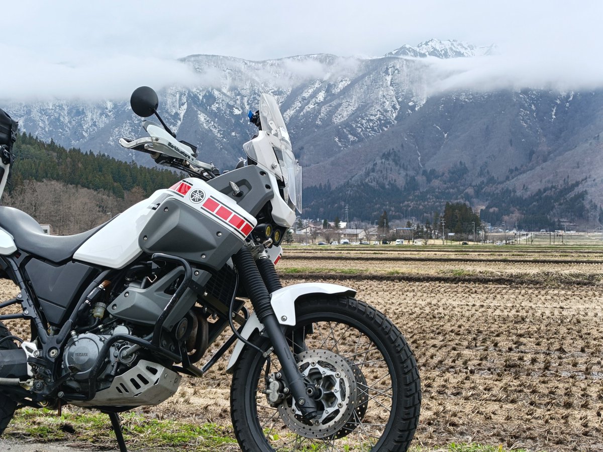 ピンポンパンダ®🐼 tweet media