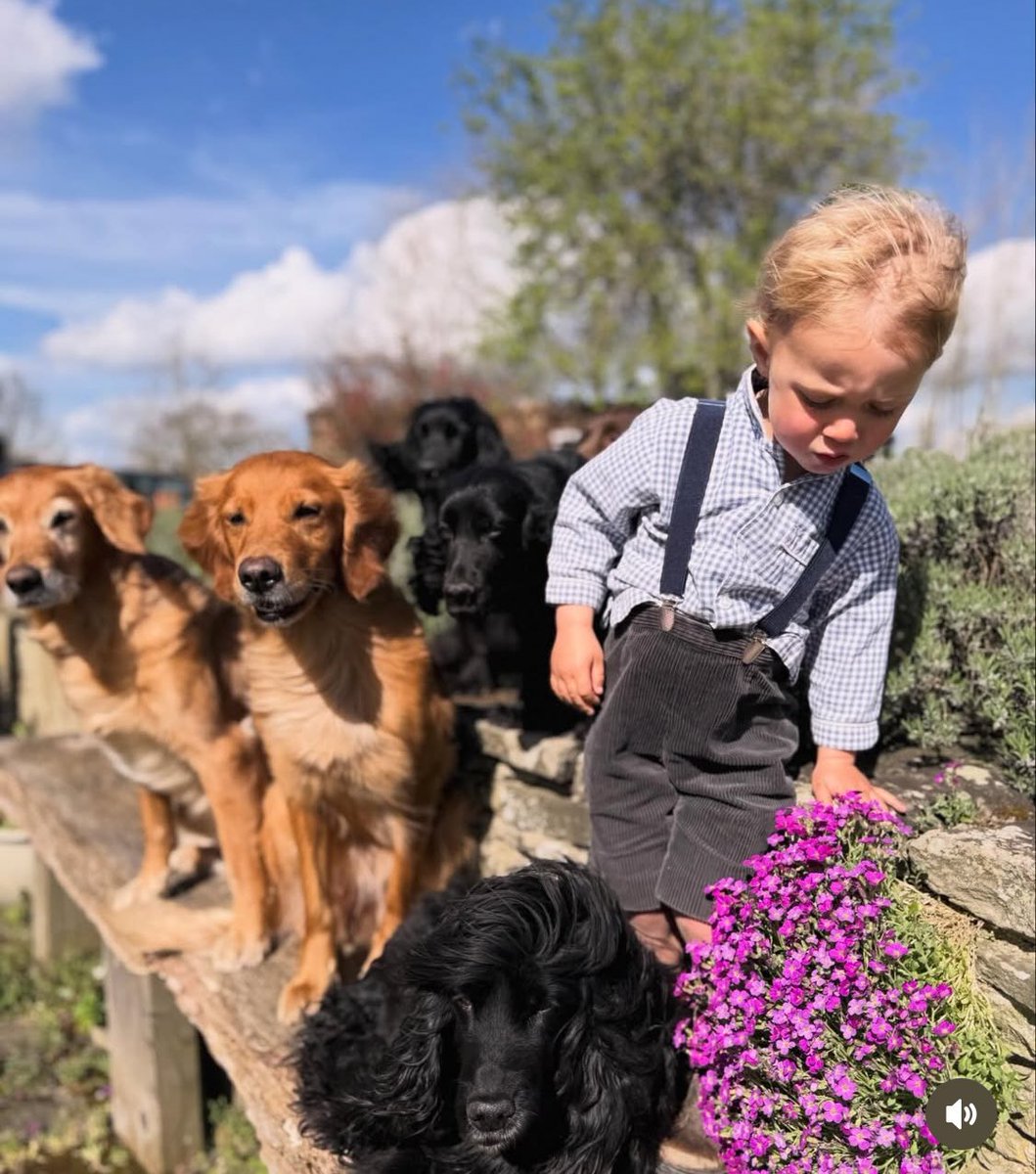 MiddletonMaven tweet media