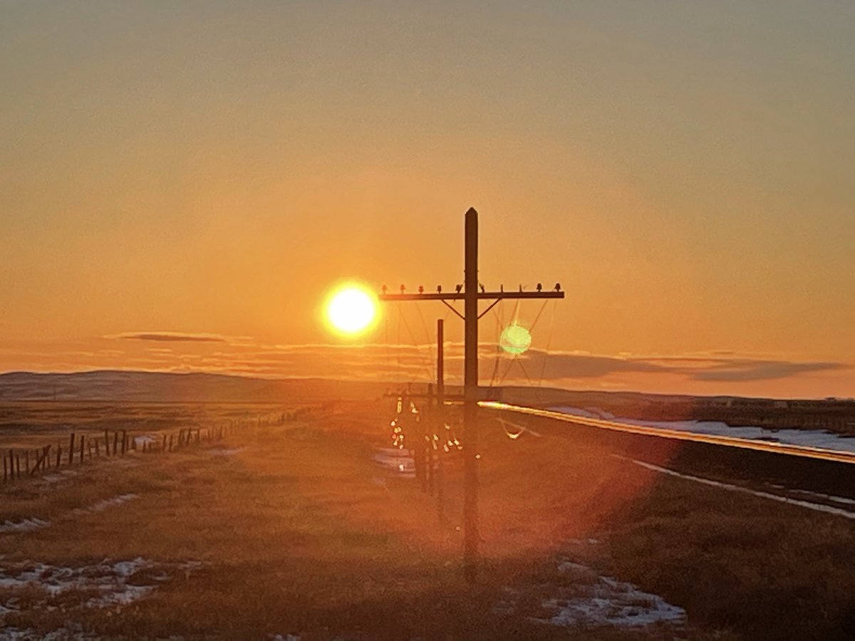 Roger Wilco tweet media