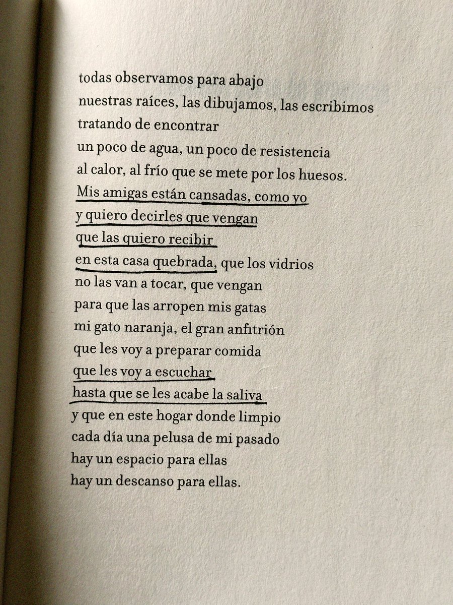 Ana María 🥀 tweet media