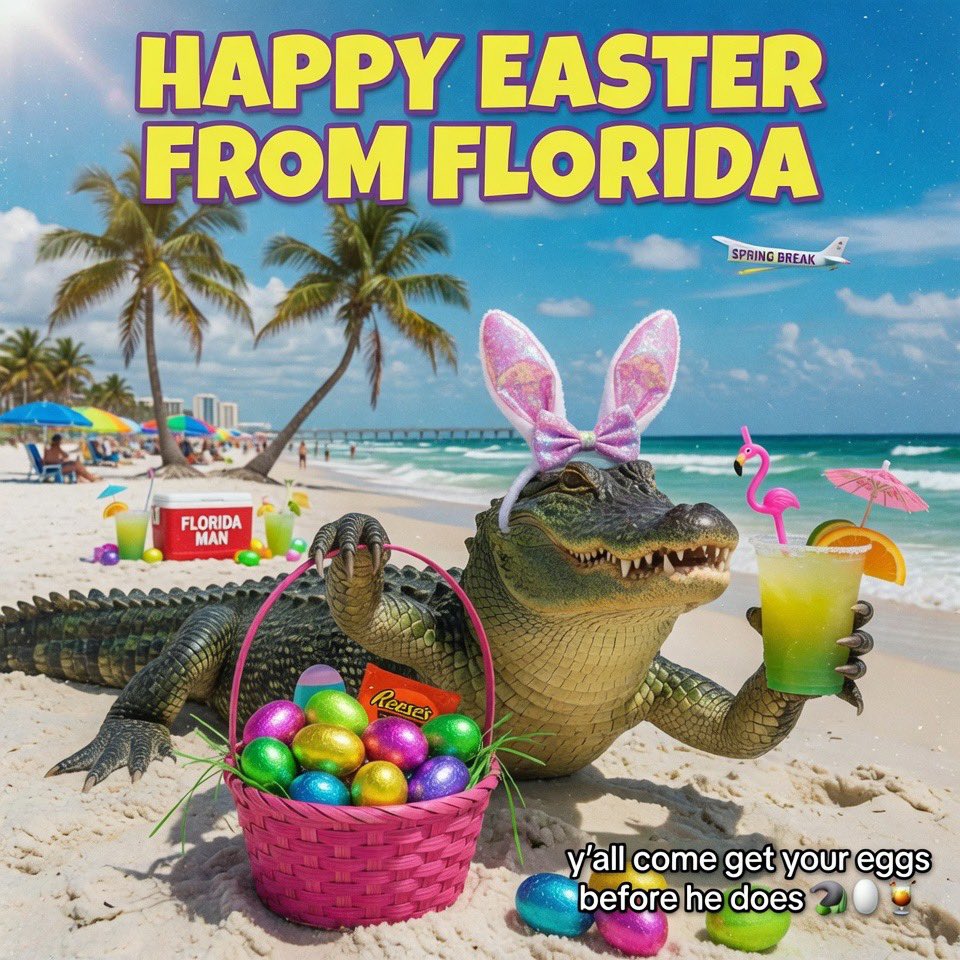 All Things Emerald Coast tweet media