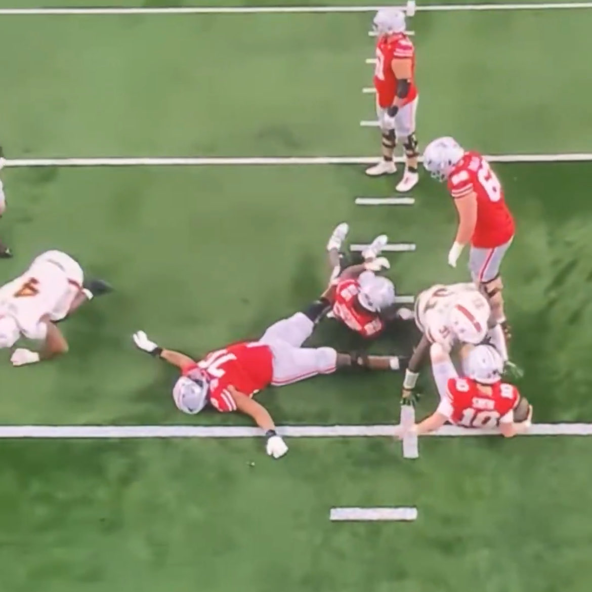 🏁CarolinaCane🙌🏼 tweet media