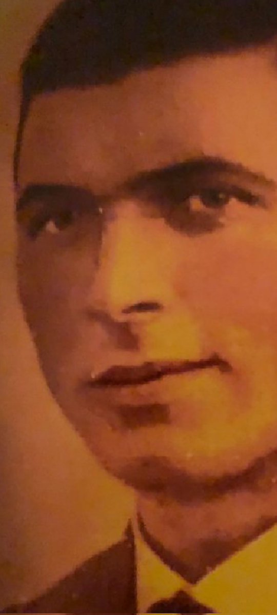 Fiona McCallion tweet media