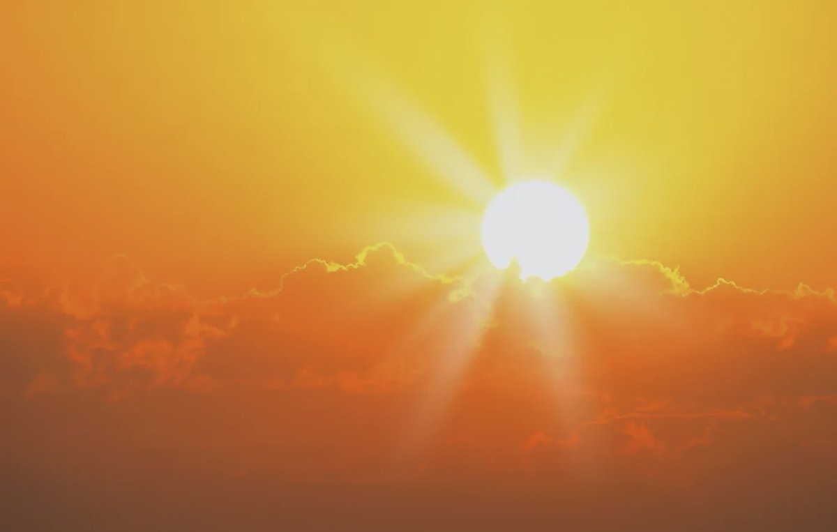 Donald Trump Belongs In Prison tweet media