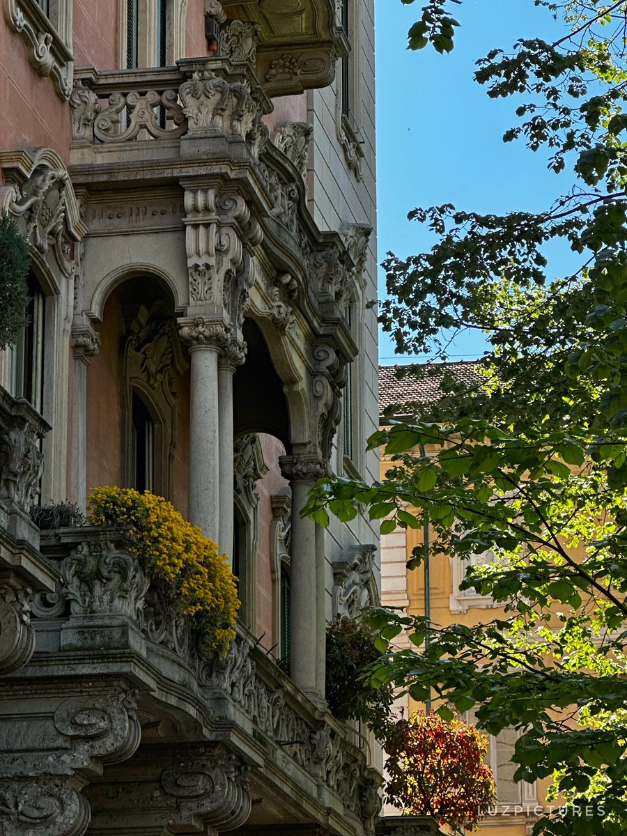 LuzPictures tweet media