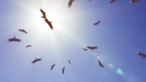 Óscar Martínez tweet media