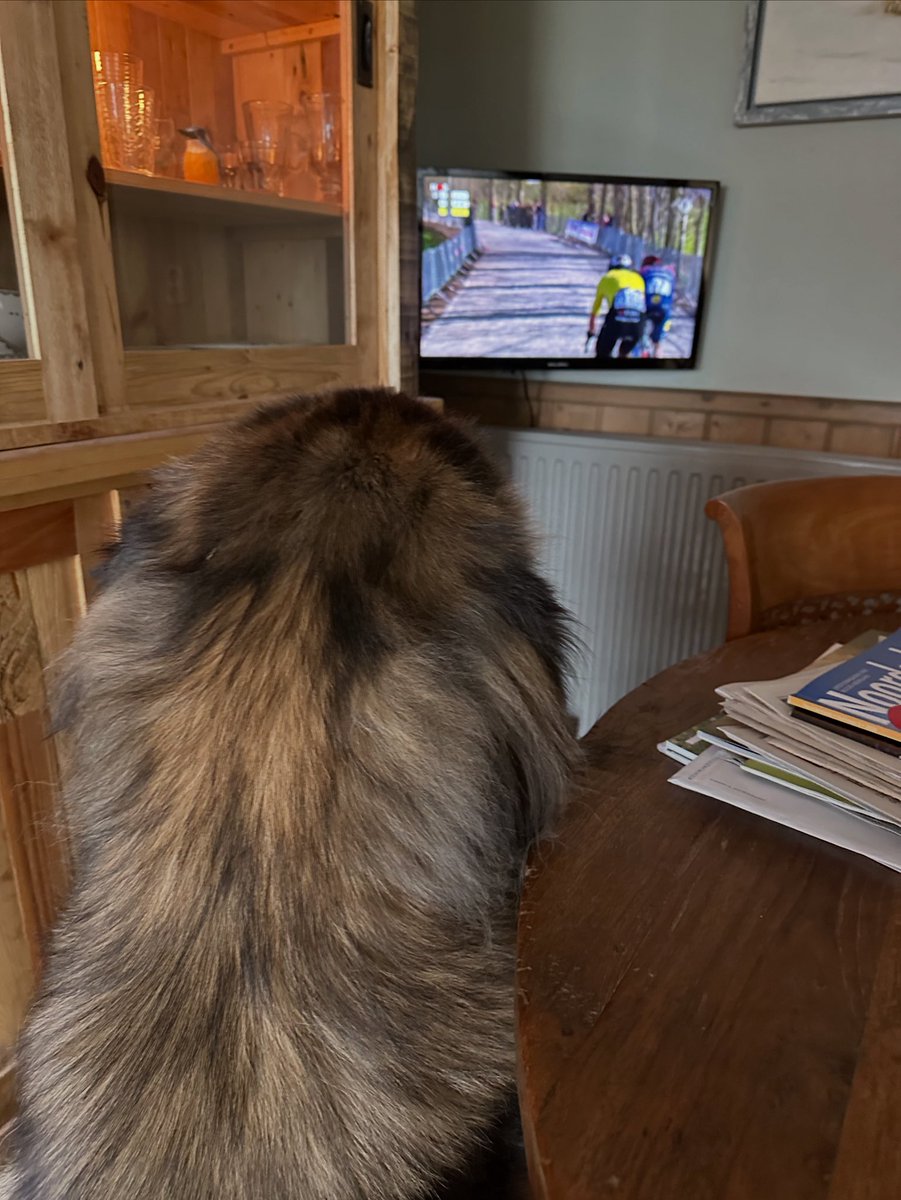 Horlogemakers.nl tweet media