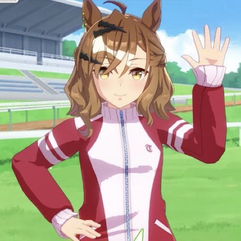 Jungle Pocket tweet media