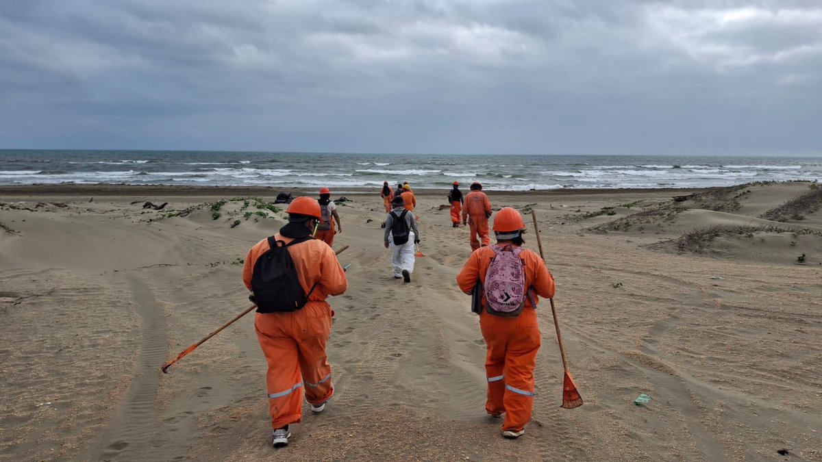 Petróleos Mexicanos tweet media