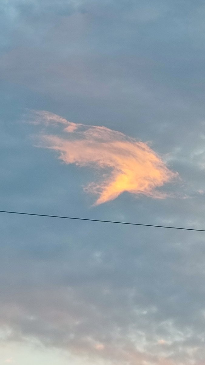 шестиглазый Есус (радуйтесь и трепещите я вернулс) tweet media