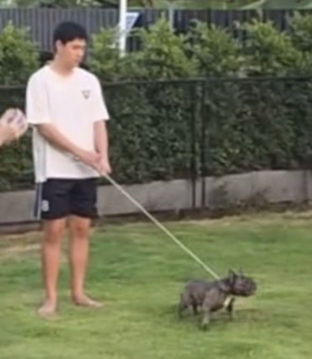 aya｡⁠☆ 🤍 tweet media