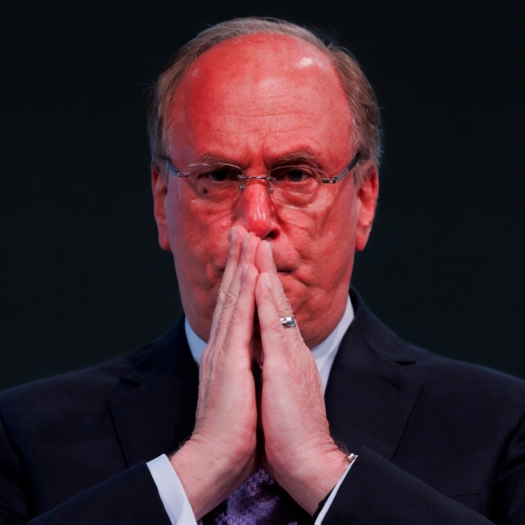 CryptoGoos tweet media