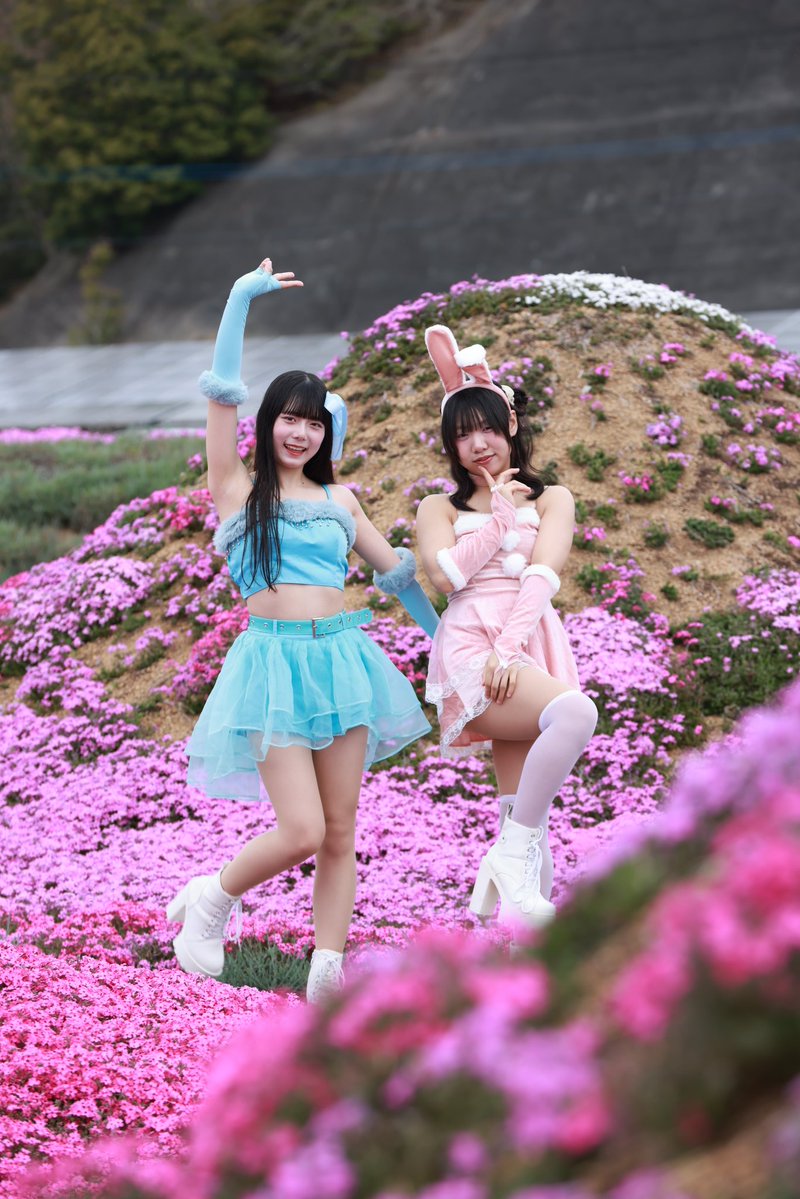 🐸すっとんだのぶ次郎🍀 tweet media