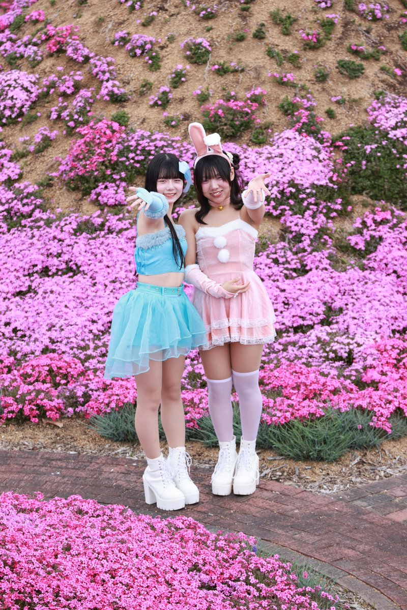 🐸すっとんだのぶ次郎🍀 tweet media