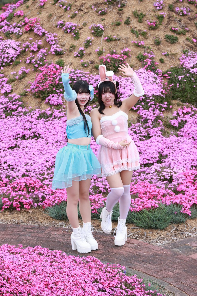 🐸すっとんだのぶ次郎🍀 tweet media