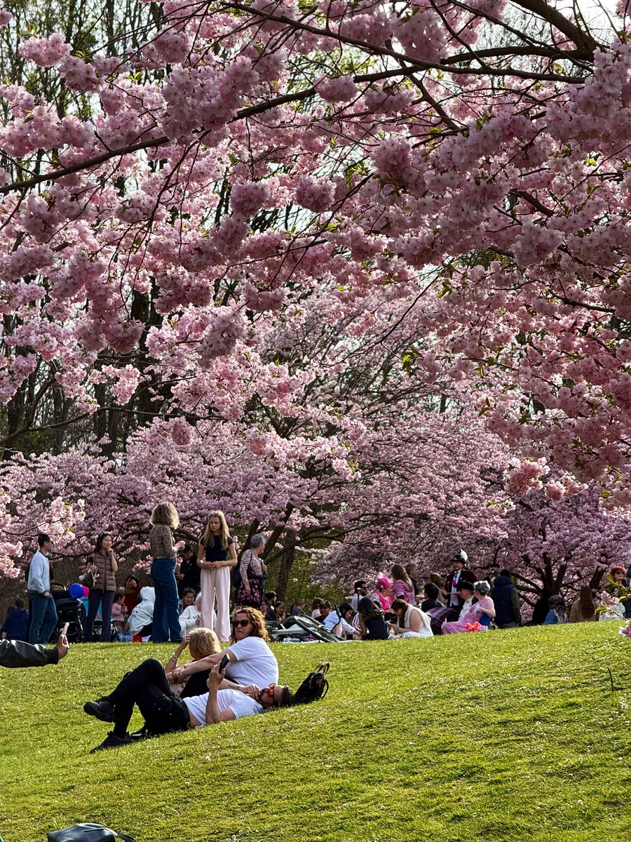 مَعن المغربي tweet media
