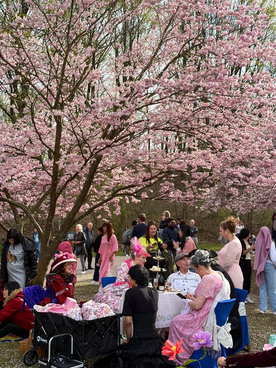 مَعن المغربي tweet media