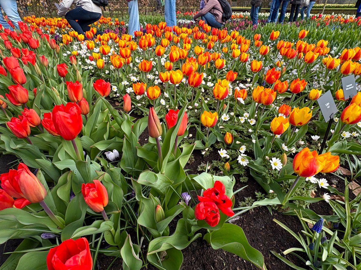 ポルトピ🇵🇹〜Portugal Topics〜 tweet media