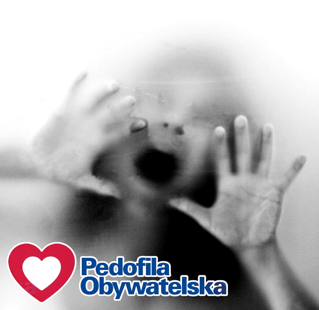 Leszek 🇵🇱 #Nawrocki2025 tweet media