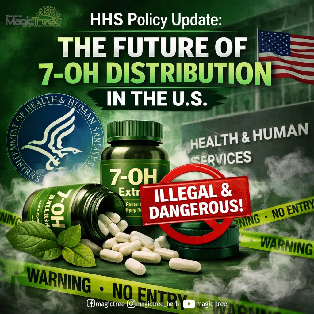 Magictree_K's tweet photo. The future of 7-hydroxymitragynine (7-OH) distribution in the US

Let's discuss in the comments! Learn more visit official website Magic Tree click link in bellow!
https://t.co/oBkodFSbY6

#KratomIndustry #7Hydroxymitragynine #RegulatoryUpdates #GMPCompliance #BotanicalExtracts https://t.co/DTASho8ybf