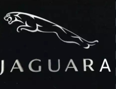 Ouvi uma notícia na CBN que estragou meu domingo:
- a importadora dos carros Jaguar convocou os proprietários de um determinado modelo para um 'recall'.
A piada é por minha conta e destinada aos que conhecem o termo regional:
- os donos de carros Jaguaras não têm porque se