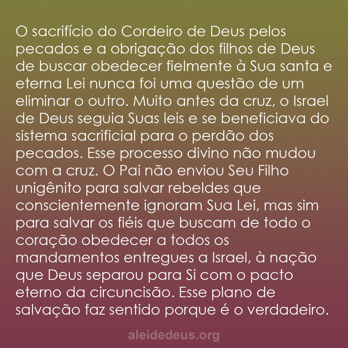 Semeadores da Palavra tweet media